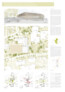 2. Rang nach Überarbeitung: Zoll Architekten Stadtplaner GmbH, Stuttgart | Hoffmann Freiraumplanung, Bad Rappenau