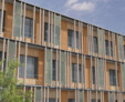 Life-inspired Engineering Molecular Systems LEMS 1. BA I Universität Heidelberg
