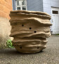 2. Preis / 2nd Prize: Habitat for regenerering | Kathrine Andersen Mølby, Helene Søndergaard Jensen, Det Kongelige Akademi / Royal Danish Academy, Copenhagen