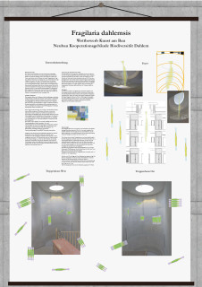 Kunst am Bau für den Neubau Kooperationsgebäude Biodiversität Dahlem