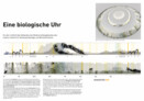 1. Rang, Realisierungsempfehlung: Eine biologische Uhr | Ursula Damm, Berlin