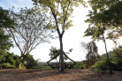 Winner: Al Borde, Quito (Ecuador) by Pascual Gangotena, David Barragán, Maríaluisa Borja, Esteban Benavides || Learning Viewpoint in the Cerro Blanco protected forest, Guayaquil, Ecuador || Photo: © JAG Studio