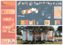 Honourable Mention: ORUGA | © Paola Edid Diaz (Argentina)