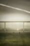 2. Preis / 2nd Prize: The Rainbow Of Renewal | © Chen Yang, Ruijing Sun, Chao Li (United States)