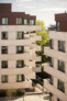 Maitland Park Estate redevelopment © Will Scott