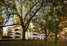 Maitland Park Estate redevelopment © Will Scott