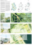 Anerkennung: QUERFELDEINS Landschaft | Städtebau | Architektur PartGmbB, Dresden