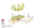 1. Platz / Siegerprojekt: StattGarten Großneumarkt | Quartiersmanagement Neustadt