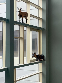 Kunst am Bau Neubau Anna-Freud-Schule (Oberstufenzentrum für Sozialwesen)