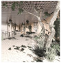 2. Preis: Thomas Henninger, Berlin