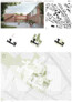 Anerkennung: Schulze Gronover & Partner Architektur GmbH, Greven | brandenfels landscape + environment, Münster