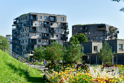 Punkthäuser Auwiesen | © Foto-Grafikalelier de Maddalena, Tübingen