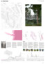 4. Rang / 4. Preis: Point 0 Sàrl, Lausanne | Samuel Badoux architecte paysagiste, Lausanne | Windows Of Opportunities, Zürich