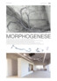 2. Rundgang: MORPHOGENESE | Monika Grzymala, Berlin 2. Rundgang: MORPHOGENESE | Monika Grzymala, Berlin