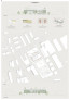 1. Preis / Gewinner: dreiplus Architekten, Innsbruck