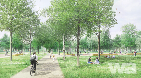 Bürgerpark Sickergrund Kitzingen: Sport, Erholung und Natur