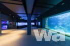 Der Bereich Indik mit den Becken "Korallendreieck" und "Malediven" im Aquarienkeller des MEERESMUSEUMs | ©  Anke Neumeister/Deutsches Meeresmuseum
