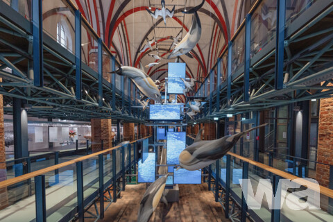 Sanierung und Erweiterung Deutsches Meeresmuseum | © Anke Neumeister/Deutsches Meeresmuseum