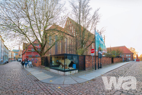 Sanierung und Erweiterung Deutsches Meeresmuseum | © Anke Neumeister/Deutsches Meeresmuseum