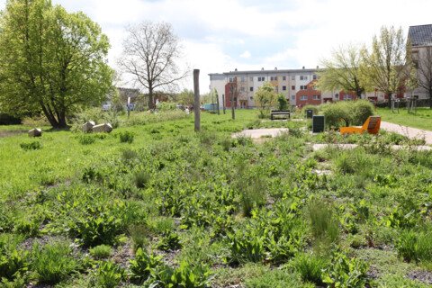 Architekturpreis des Landes Sachsen-Anhalt 2025