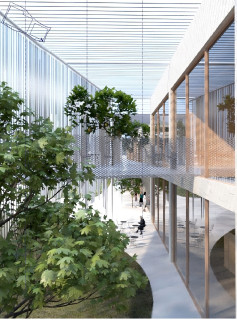 Architects Collective Student Award for Healthcare Architecture 2025