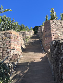 Architekturpreis Wein 2025