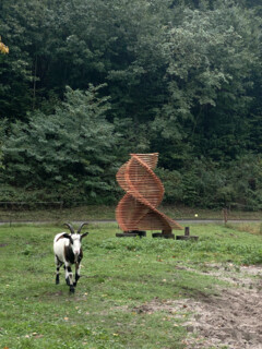 GOAT-LAB Summerschool