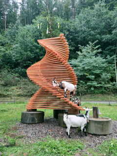 GOAT-LAB Summerschool