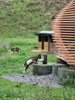 GOAT-LAB Summerschool