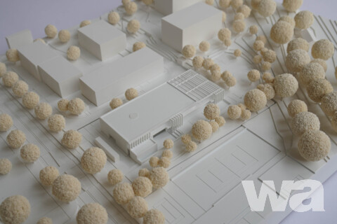 Kindertagesstätte „Springmäuse“, Lingelfläche