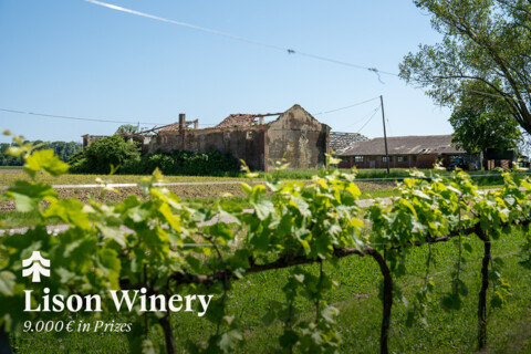 LISON WINERY Competition | Image: © TerraViva S.r.l., Milan